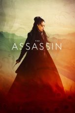 Nonton Film The Assassin (2015) Subtitle Indonesia