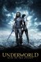 Nonton Film Underworld: Rise of the Lycans (2009) Subtitle Indonesia