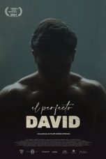 Nonton Film The Perfect David (2021) Subtitle Indonesia