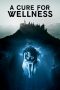 Nonton Film A Cure for Wellness (2017) Subtitle Indonesia