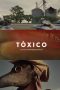 Nonton Film Toxic (2020) Subtitle Indonesia