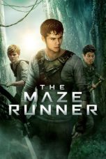 Nonton Film The Maze Runner (2014) Subtitle Indonesia