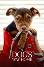 Nonton Film A Dog’s Way Home (2019) Subtitle Indonesia