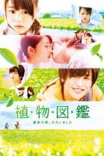 Nonton Film Evergreen Love (2016) Subtitle Indonesia