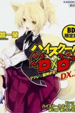 Nonton Film High School DxD BorN: Yomigaeranai Fushichou (2015) Subtitle Indonesia