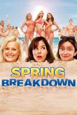 Nonton Film Spring Breakdown (2009) Subtitle Indonesia