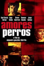 Nonton Film Amores Perros (2000) Subtitle Indonesia