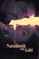 Nonton Film Nanahimik ang Gabi (2022) Subtitle Indonesia