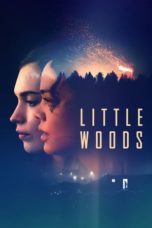 Nonton Film Little Woods (2019) Subtitle Indonesia