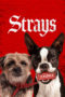 Nonton Film Strays (2023) Subtitle Indonesia