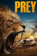 Nonton Film Prey (2024) Subtitle Indonesia